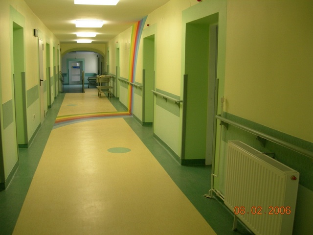 Muflony 2005